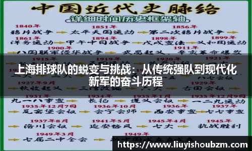 上海排球队的蜕变与挑战：从传统强队到现代化新军的奋斗历程