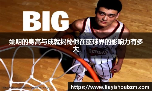 姚明的身高与成就揭秘他在篮球界的影响力有多大