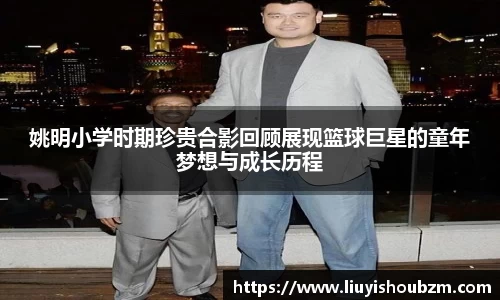 360足球直播