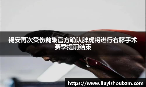 足球直播